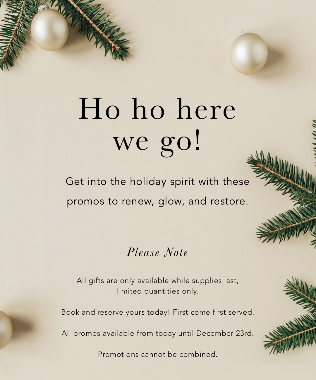 An introduction to our holiday email with pine needles